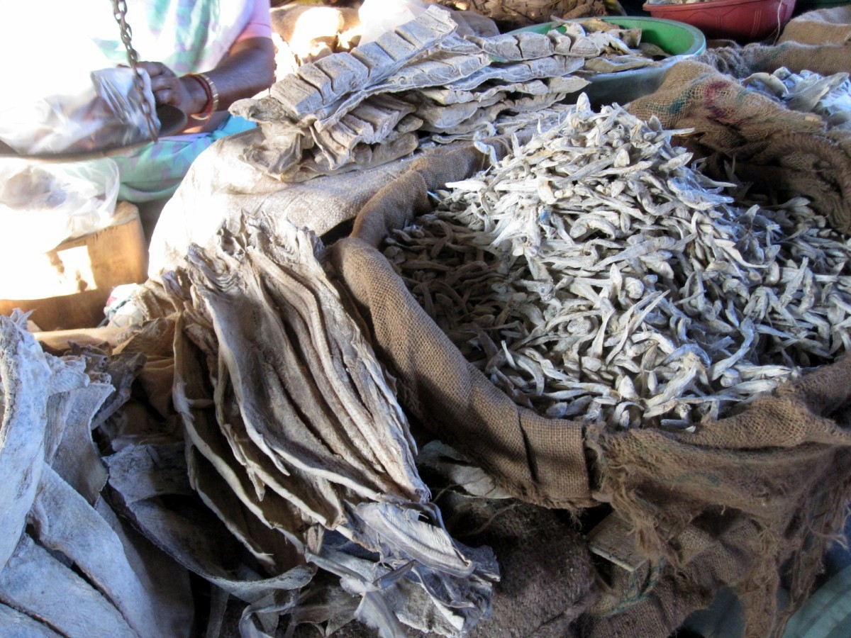 Mangalore Mangalore Mangalore Dry Fish Market